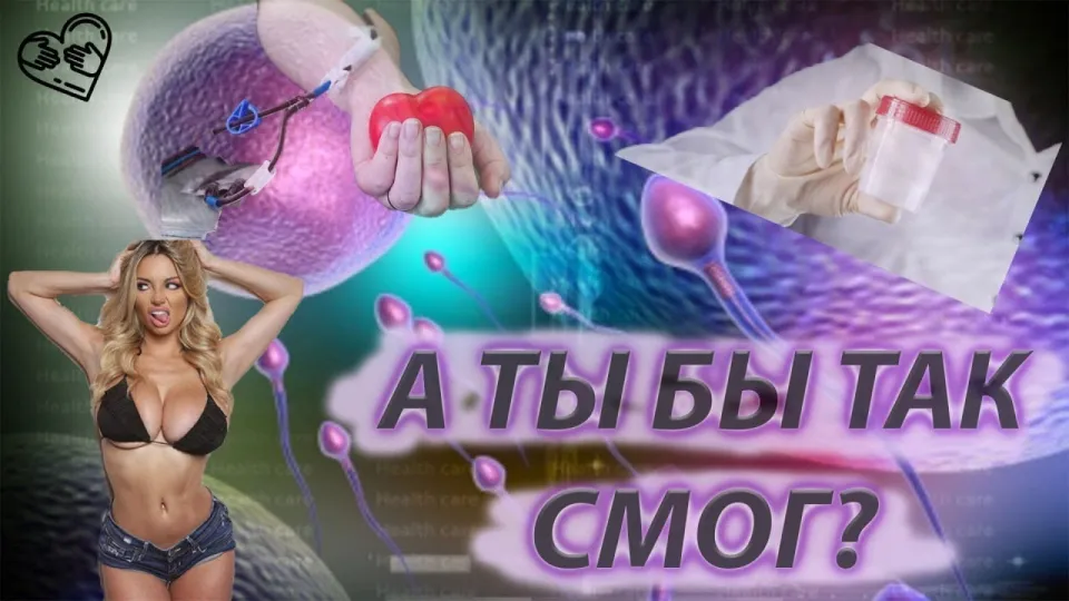 Какие самые интересные факты о миссионерах добрых дел и их помощи людям